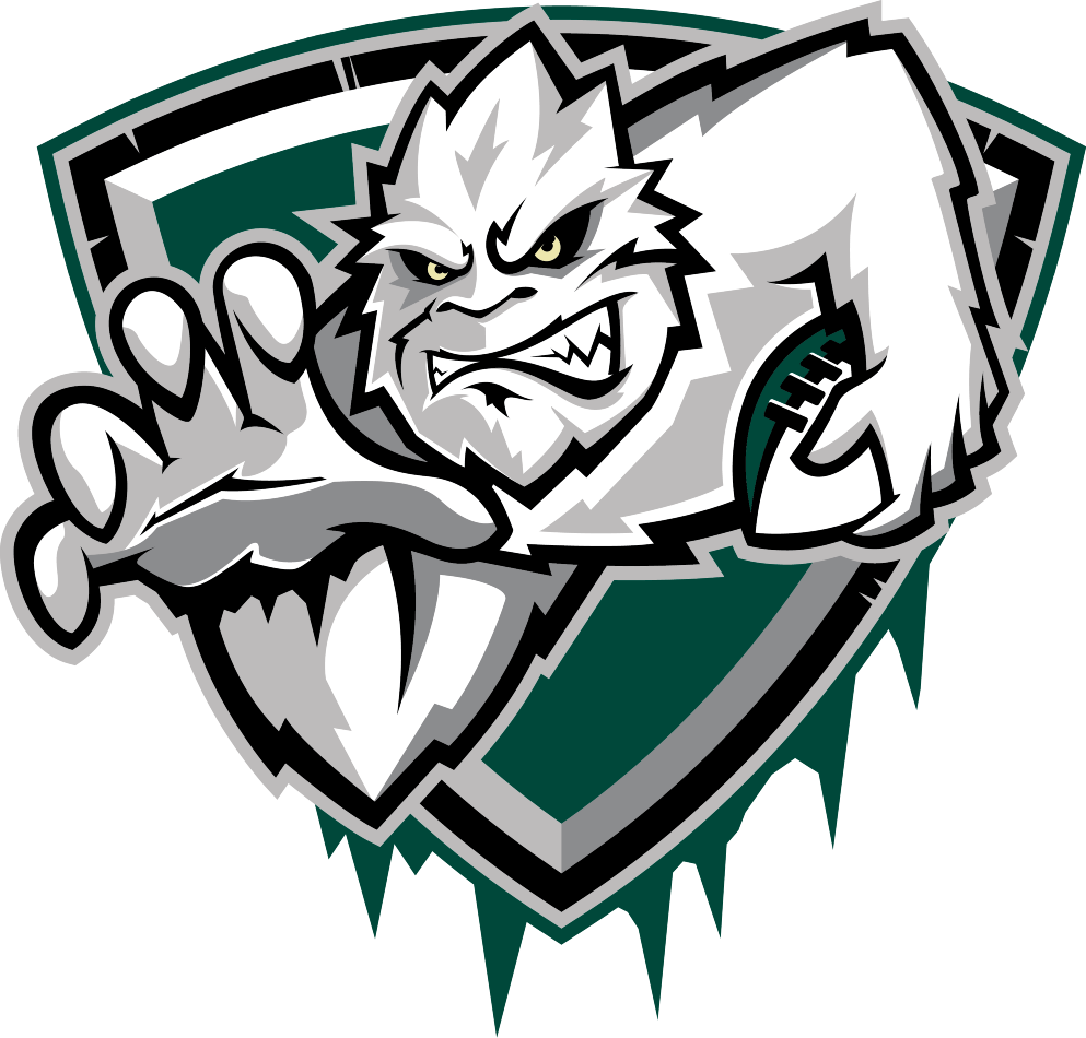 Green Bay Blizzard 2015-Pres Secondary Logo iron on transfers for clothing